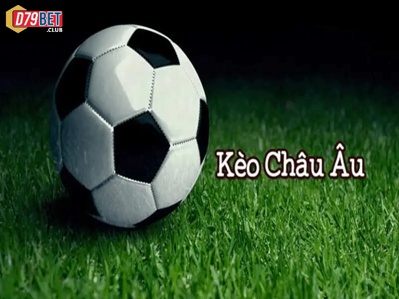 anh dai dien 3