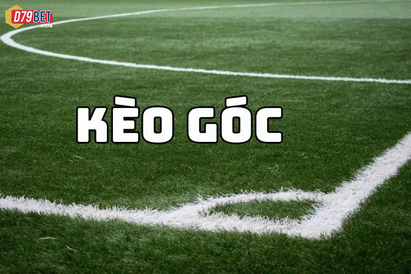 Kèo Góc Là Gì? Hướng Dẫn Chơi Cá Cược Chuẩn Xác Tại D79bet 3 Giới thiệu cho các bạn những cách đặt cược phổ biến của kèo góc D79bet