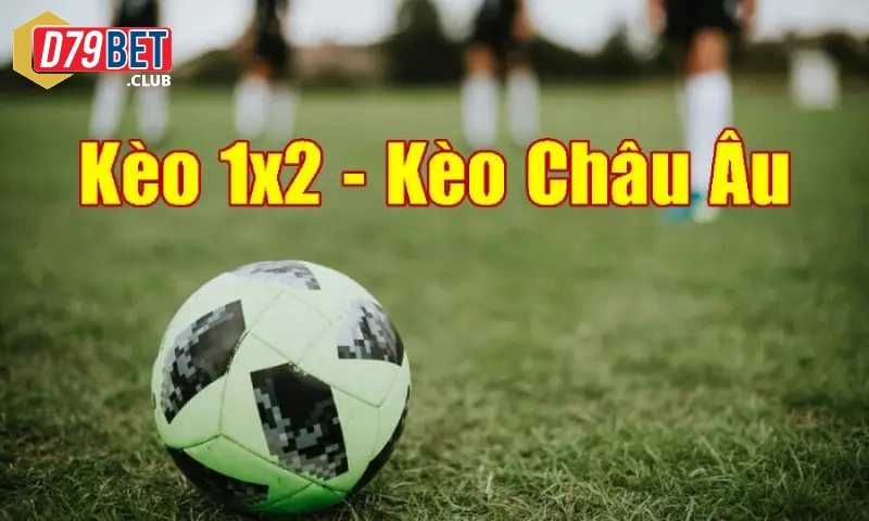 Kèo Châu Âu Là Gì? Những Kinh Nghiệm Chơi 99% Thắng Tại D79bet 3 Hướng dẫn cho newbie cách đọc kèo châu Âu chuẩn xác