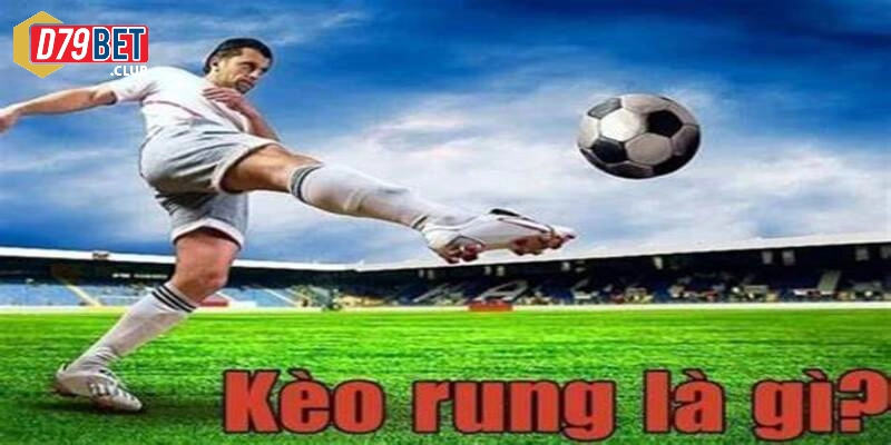 Kinh nghiệm chơi kèo rung hiệu quả 99% tại nhà cái D79bet 3 Hướng dẫn cho newbie cách đọc kèo rung chính xác nhất