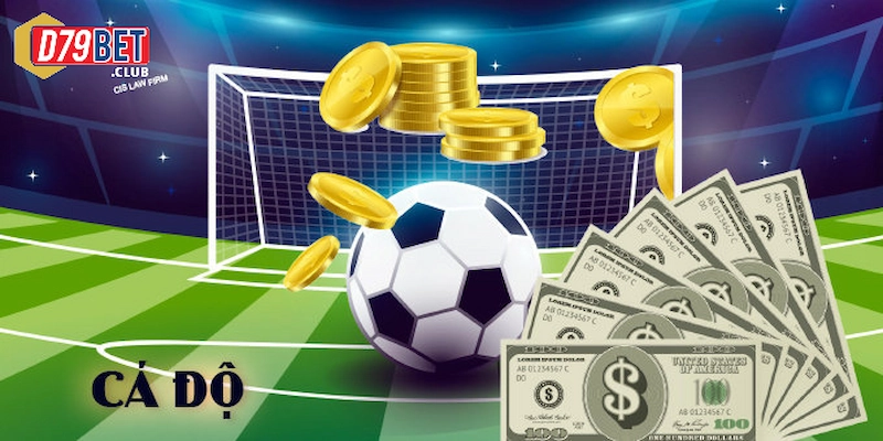 Cá cược bóng đá - Một số lưu ý tránh mất tiền oan tại D79bet 4 Một số lưu ý khi chơi cá cược bóng đá mà newbie cần phải bỏ túi